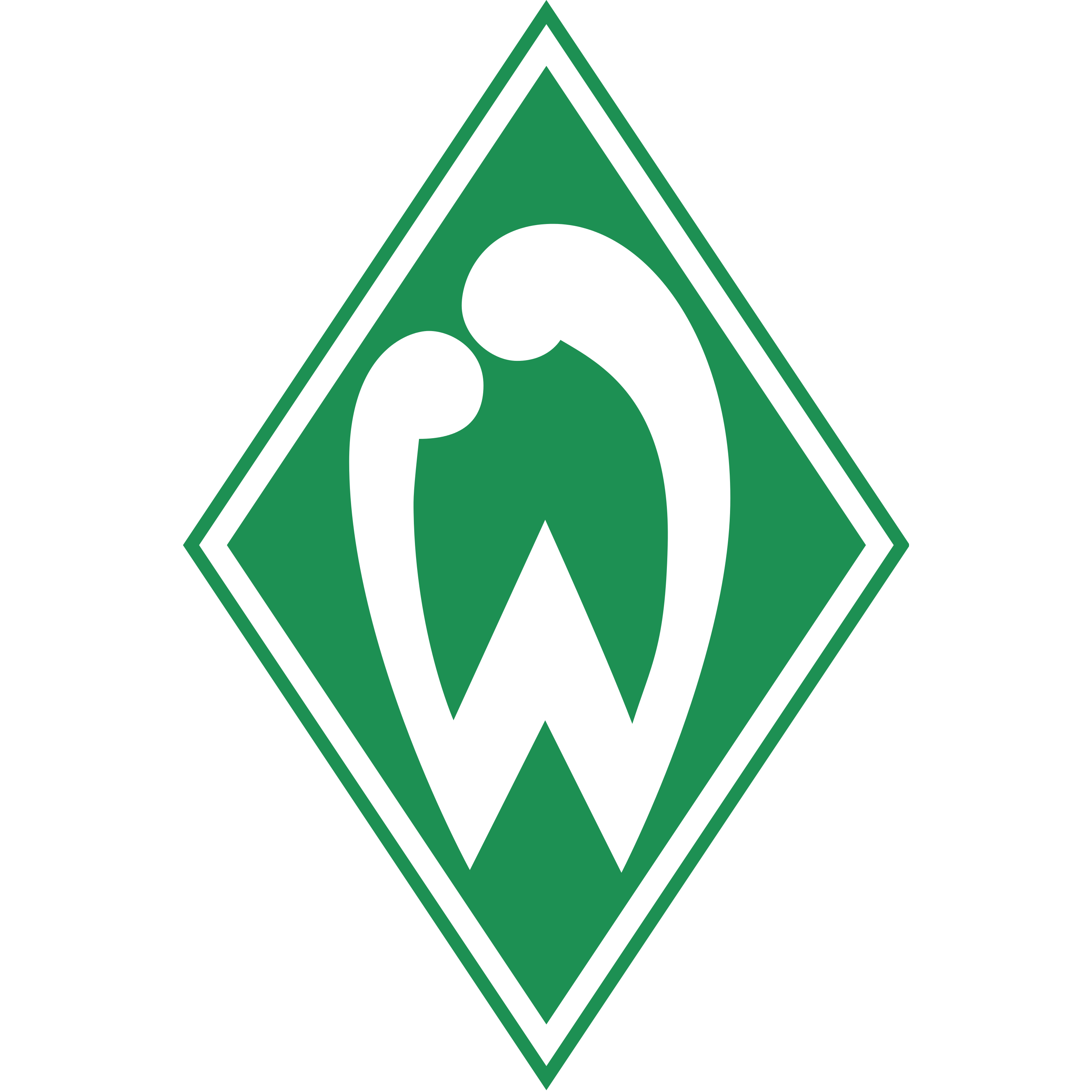  Werder Bremen 